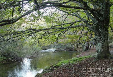 III Semana de los Geoparques Europeos del Geoparque Sierra Norte de Sevilla 