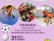 Azuaga celebra la I Jornada “Deporte e Igualdad” para concienciar contra la violencia de género