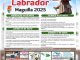Maguilla se prepara para las Fiestas Patronales de San Isidro Labrador 2025